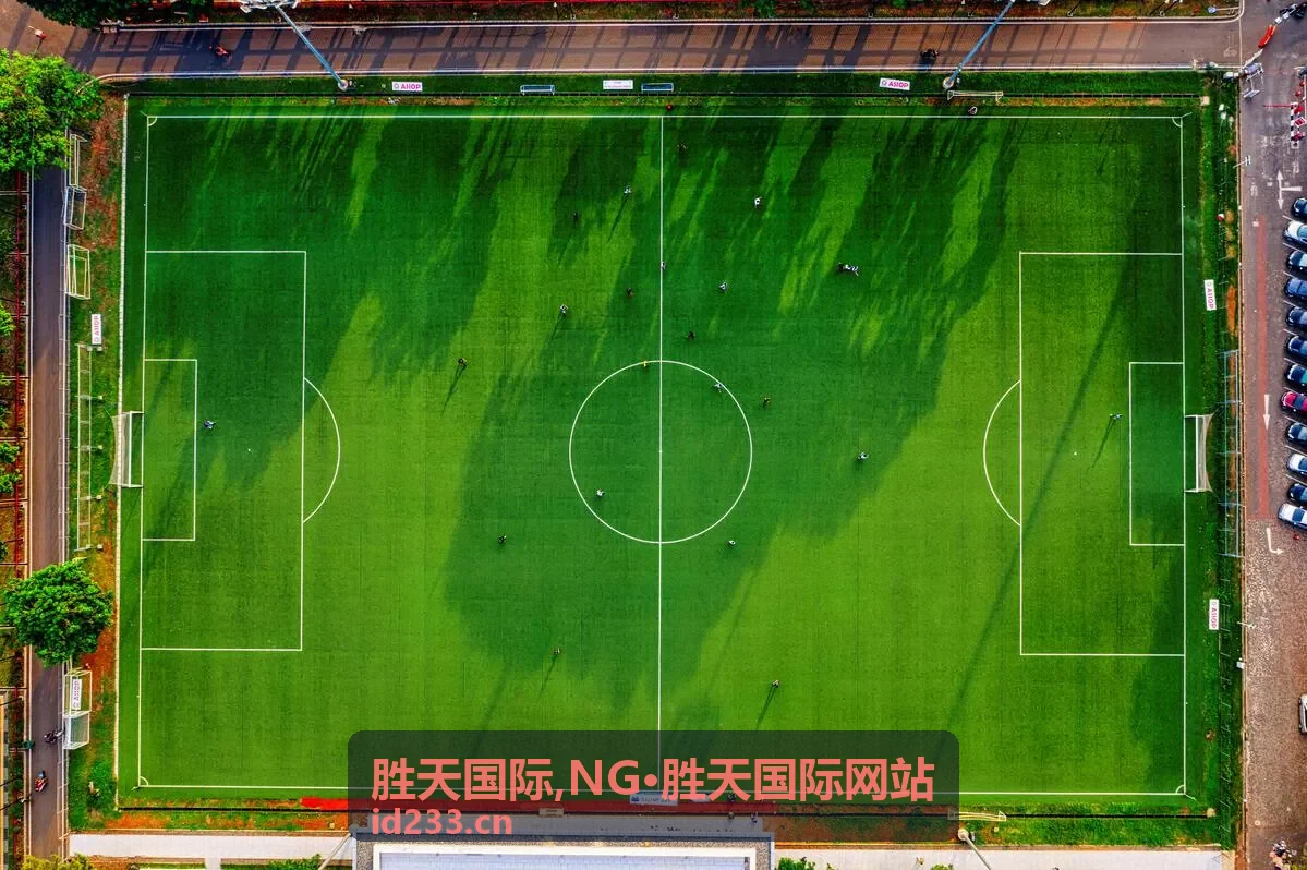 胜天国际精选内容封面图三