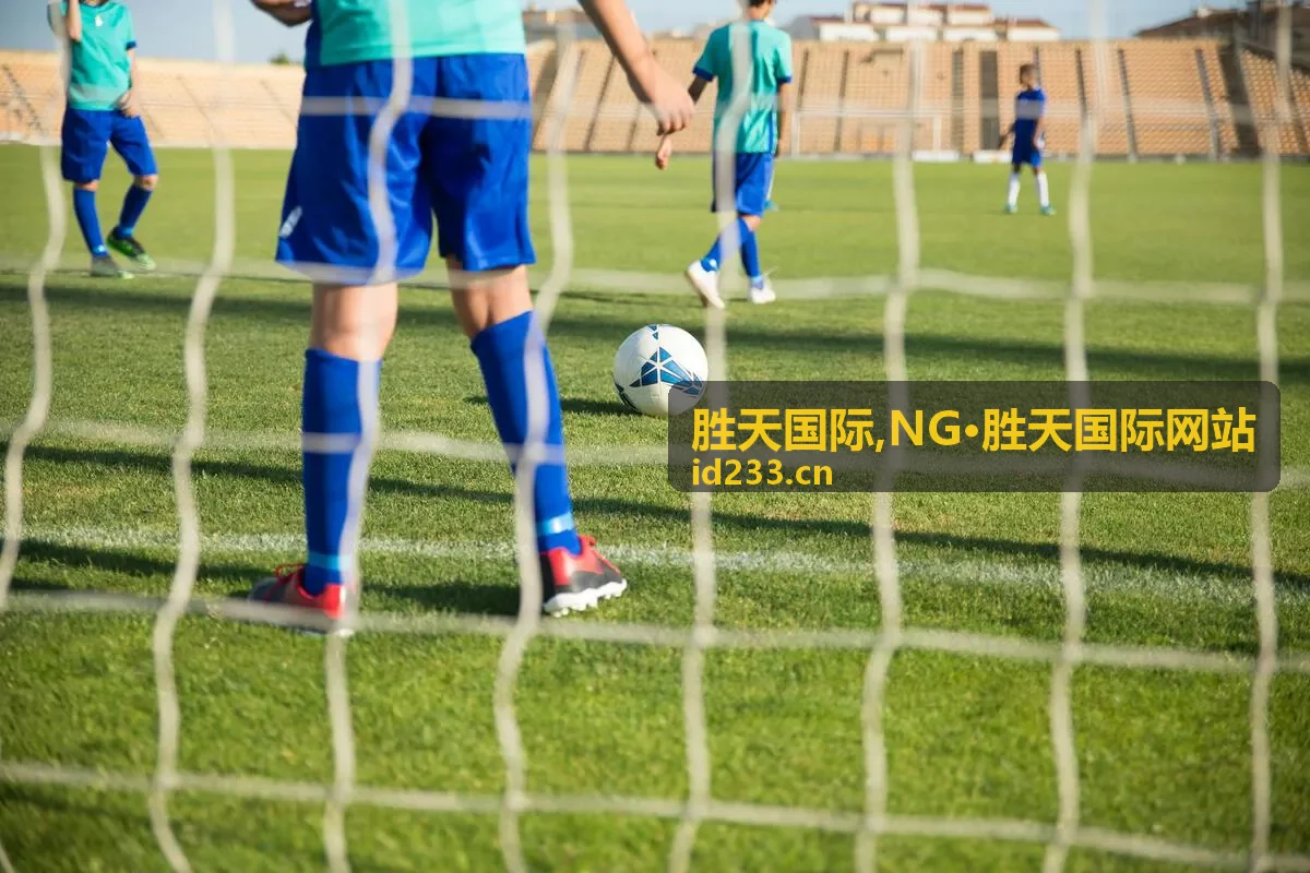 胜天国际联系说明封面图